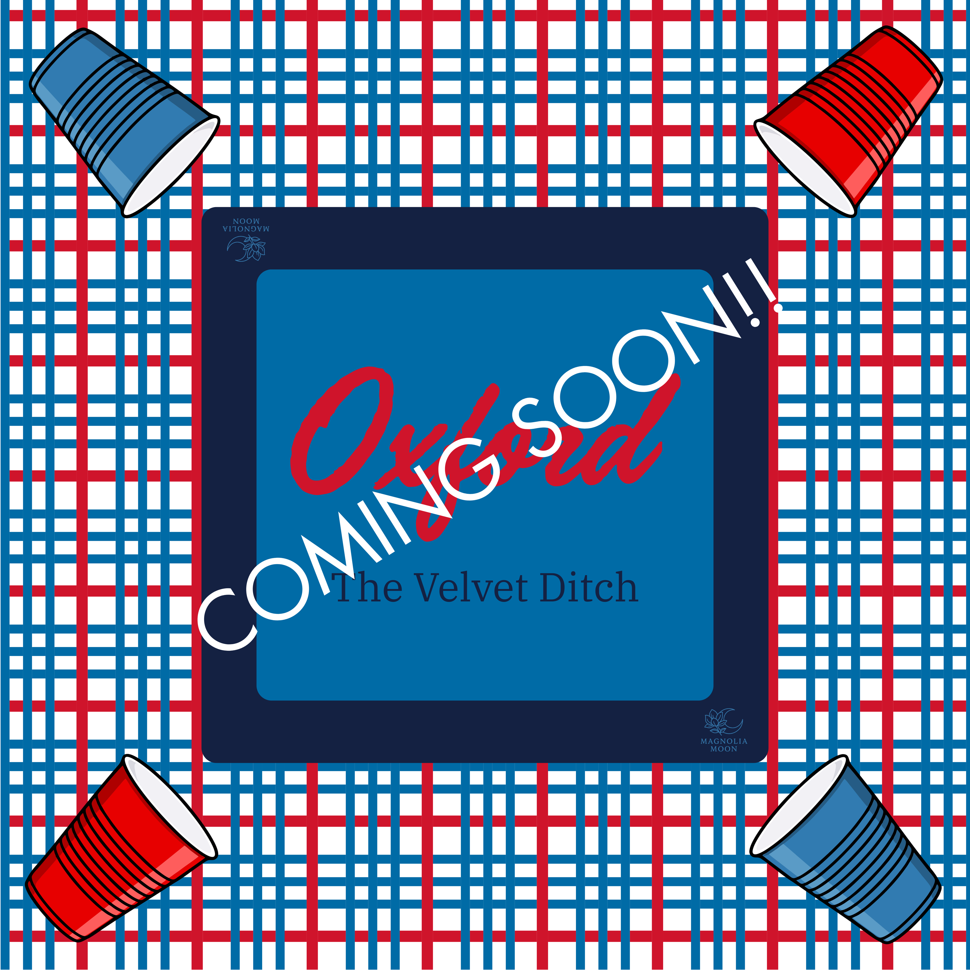 Never Lose a Party - Mat